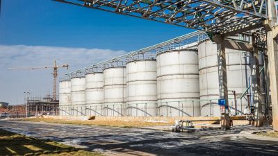 һͼ�����ӷ��ҵ2019�ɳ�����չ����